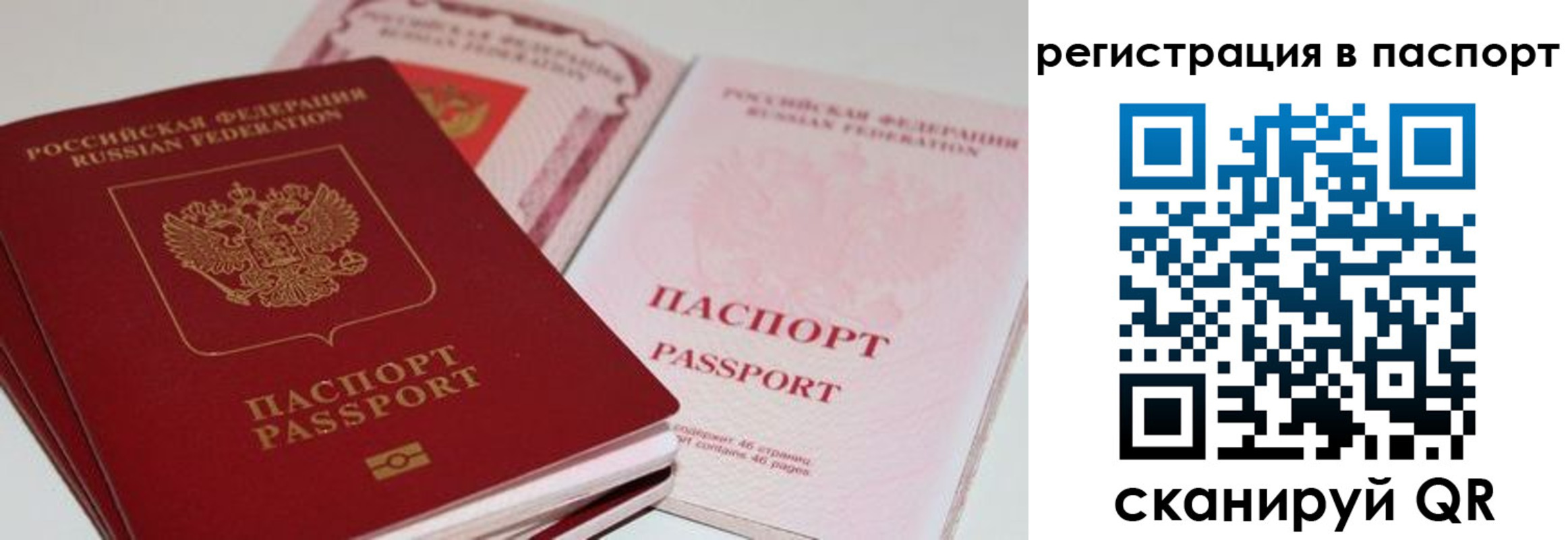 найти адрес прописки в Ясногорске